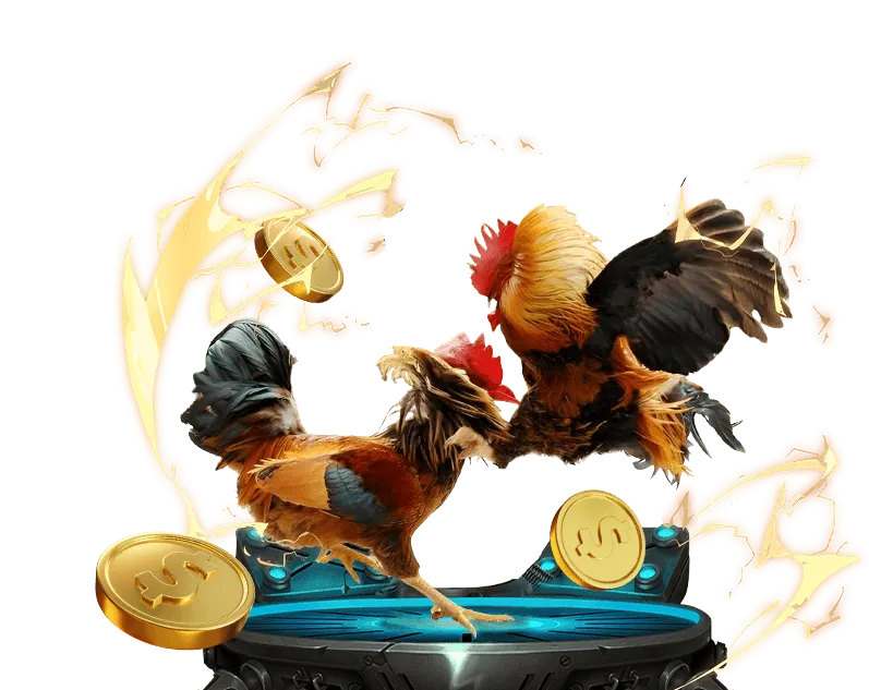 Quy tắc cá cược đá gà trực tuyến trên Đá gà V88